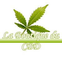 LA BOUTIQUE DU CBD VAVINCOURT 